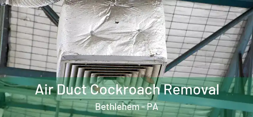 Air Duct Cockroach Removal Bethlehem - PA