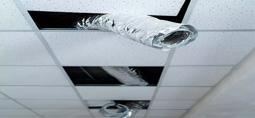 Affordable HVAC Sanitizing After Pest Removal in Bethlehem