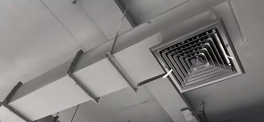 Our Rodent Droppings In Vents Services in Bethlehem, PA