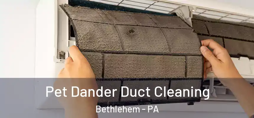 Pet Dander Duct Cleaning Bethlehem - PA