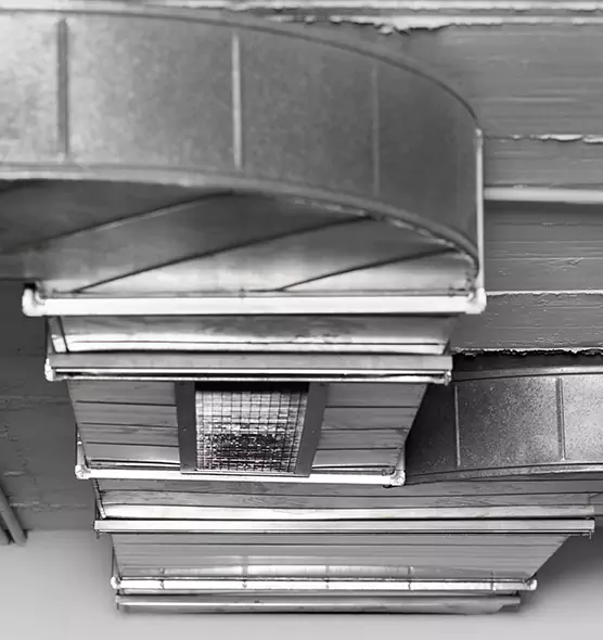 Professional Air Duct Pest Removal in Bethlehem, PA