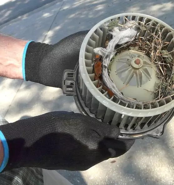 About Air Duct Rat Removal in Bethlehem, PA