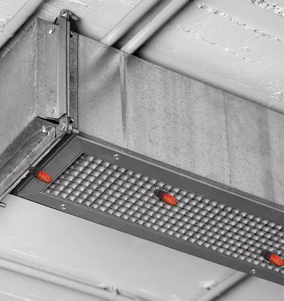 Affordable Insect Removal from Air Ducts in Bethlehem, PA