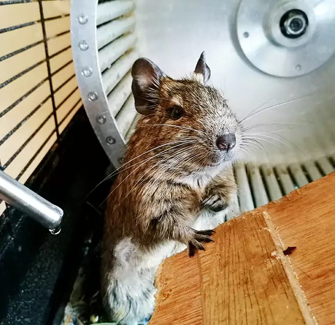 Why Homeowners & Businesses Trust Us Bethlehem, PA